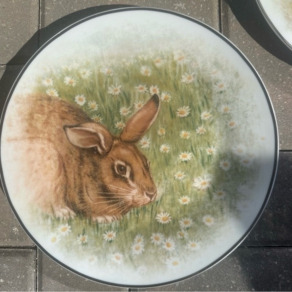 Pottery Barn Easter Rabbit
Dinner Plates
Set of Four Cottagecore
Shabby chic - Picture 4 of 5